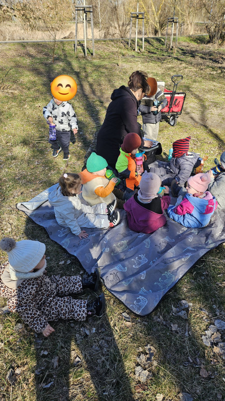 Picknick im Grünen