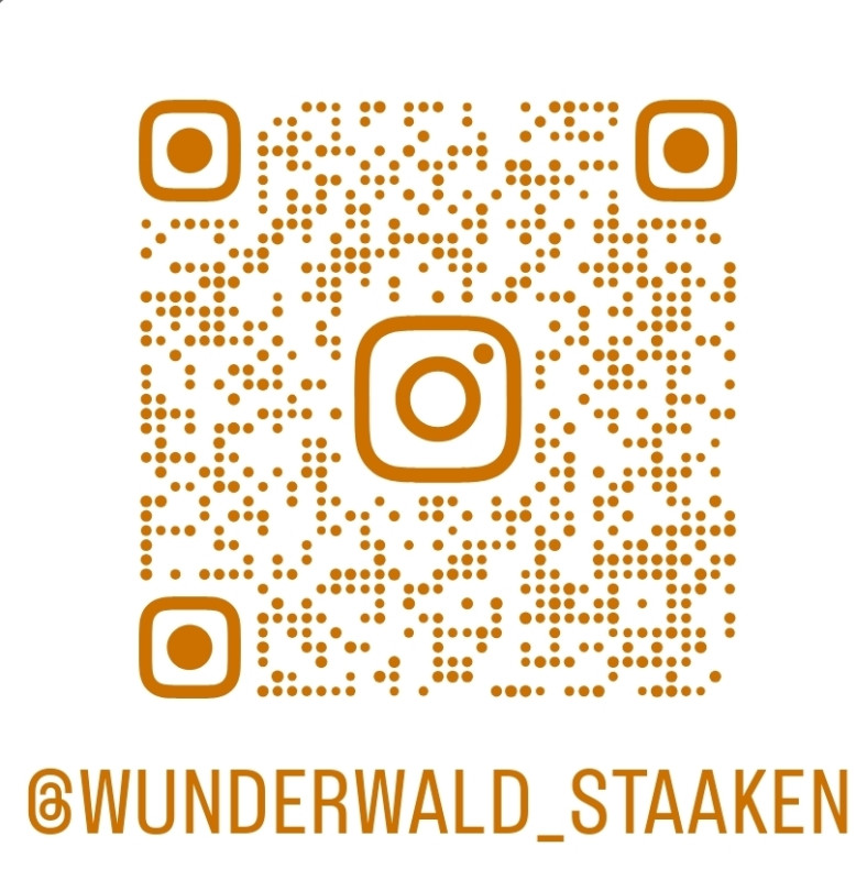 wunderwald_staaken